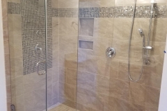 Glass Wall & Shower Door